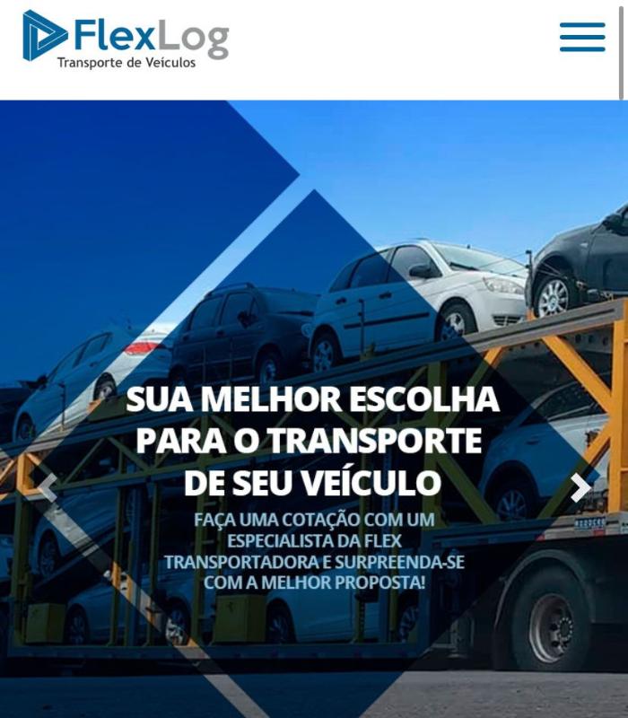 Case de Otimização de SEO para Transportadora