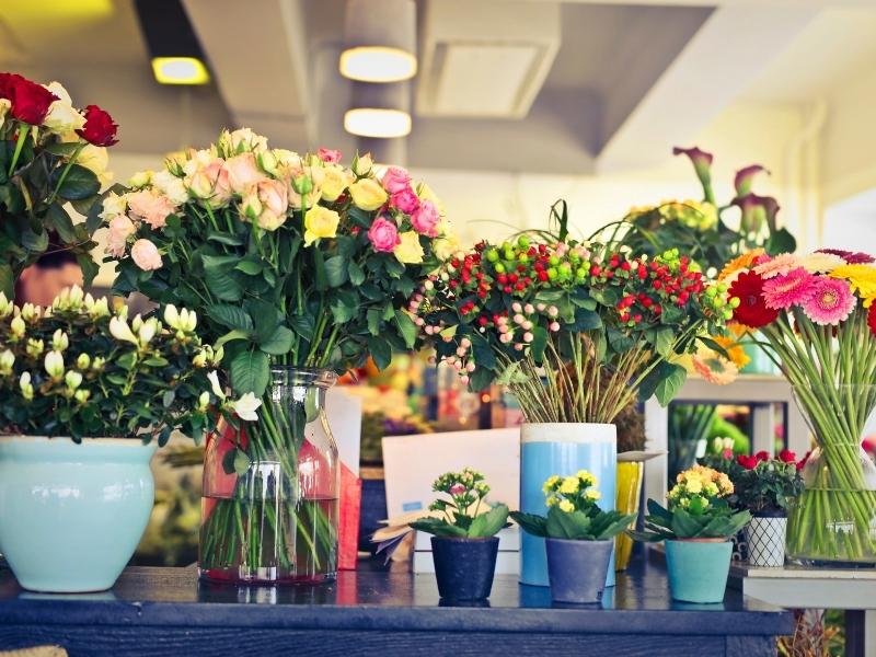 Floricultura