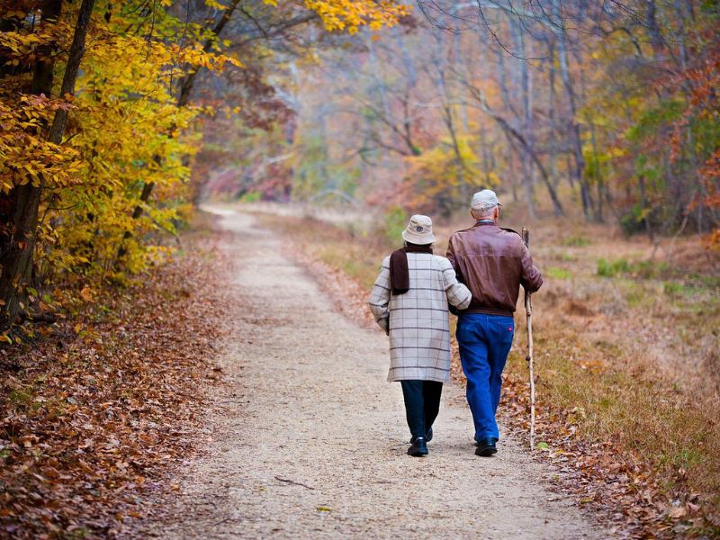 Geriatrias, Casas e Residenciais Geriátricos
